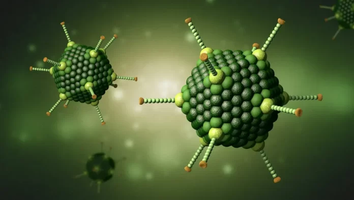 Enteroviroza provocată de adenovirus – ce este și cum se manifestă