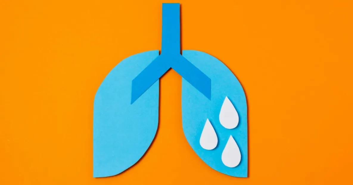 Ce este fibroza hepatică F4?