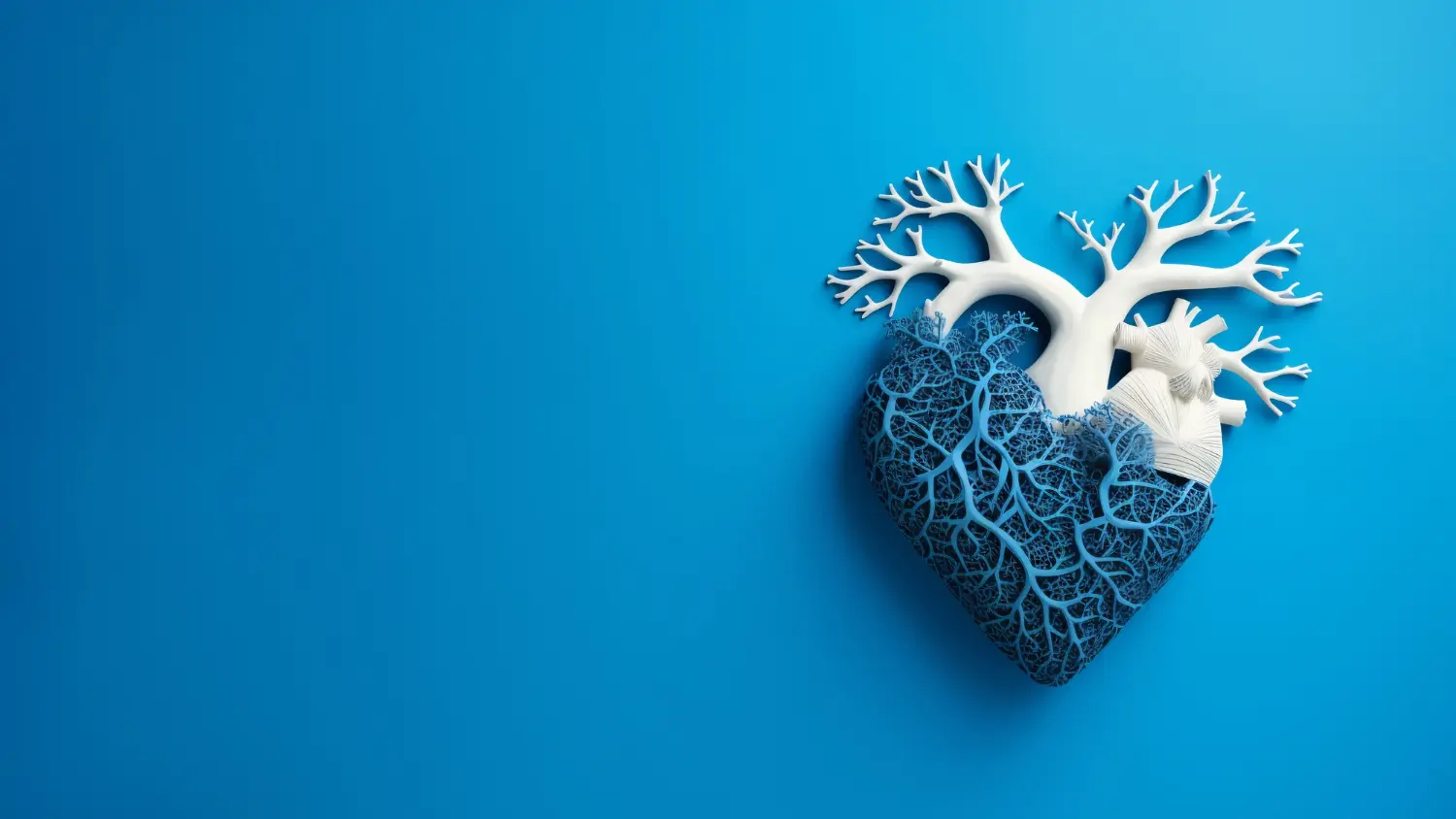 Valvulopatii: Ghid Complet despre Cauze, Simptome, Diagnostic și Tratament Modern